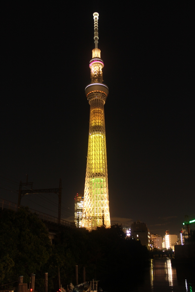 明花－1の花