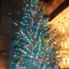 銀座のクリスマスツリー