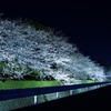 DSC03663_R