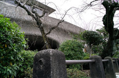 SDIM0546