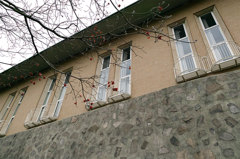 SDIM0551