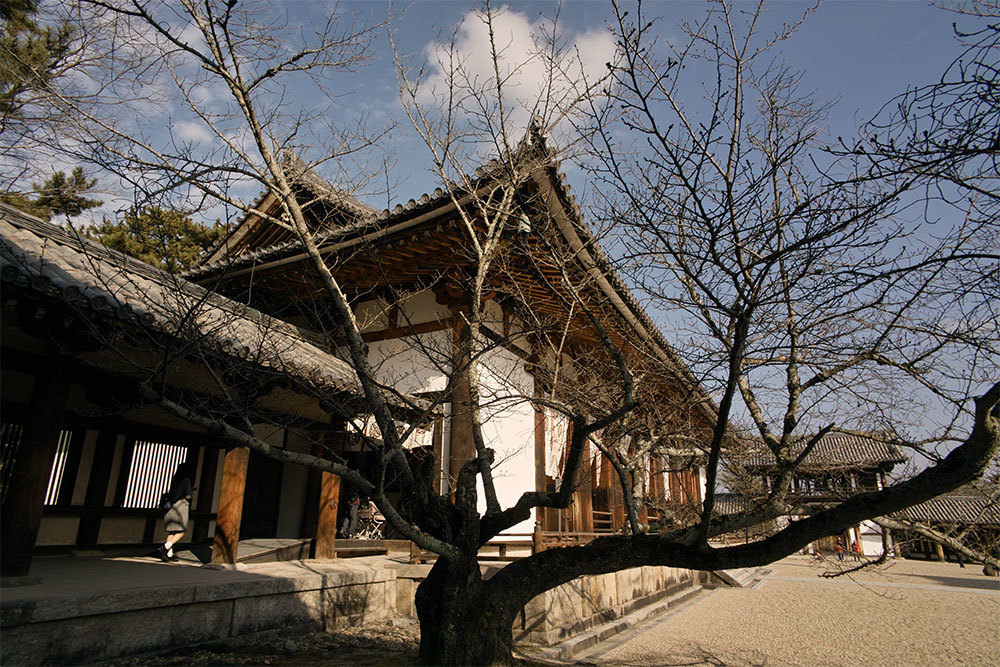 SDIM0633