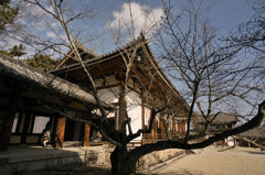 SDIM0633