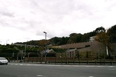 SDIM0560