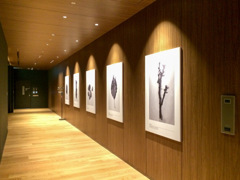 枚方 T-SITE
