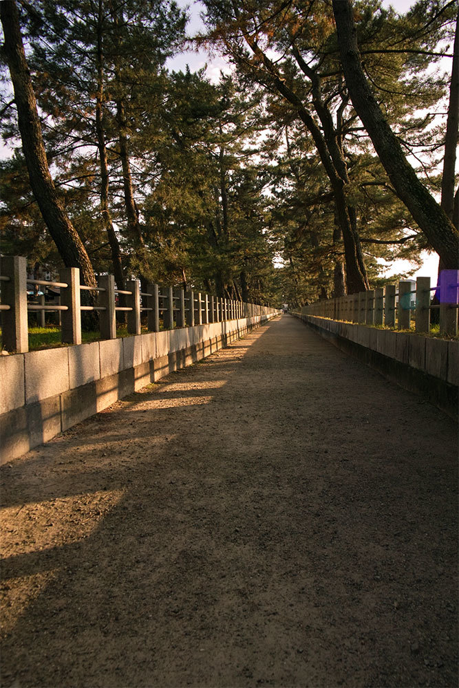 SDIM0683