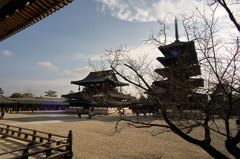 SDIM0634