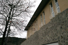 SDIM0550