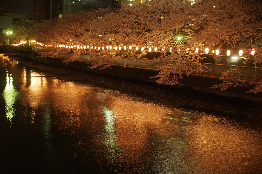 門前仲町の春の夜