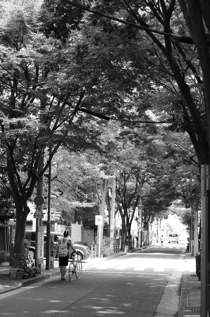 FUKAGAWA STREET