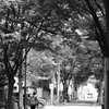 FUKAGAWA STREET