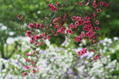 木場公園にて