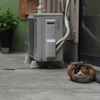 月島ねこ