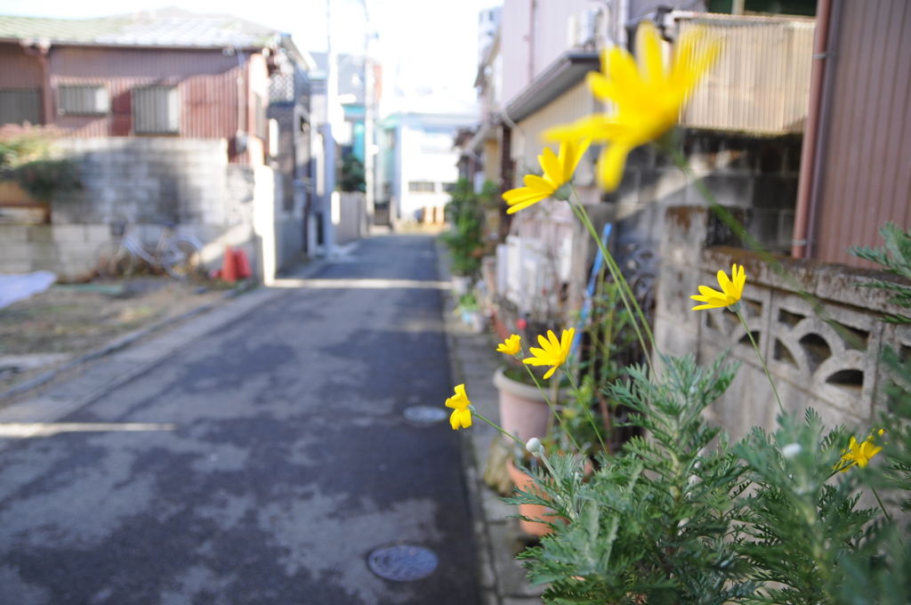 日曜日の通勤路