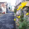日曜日の通勤路