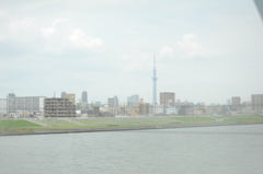 荒川の上から