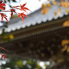 紅を挿す