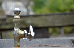 子供のオアシス