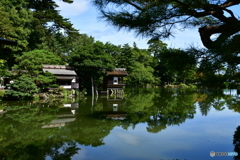 夏ノ兼六園