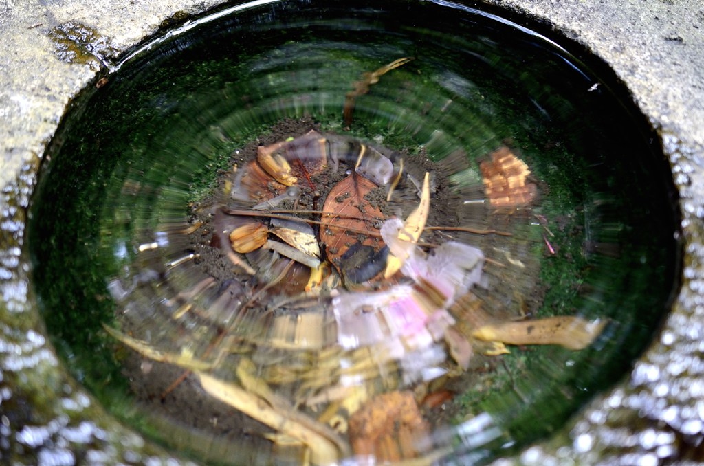 watar lens