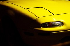 passion yellow
