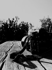 ツギドコイク？