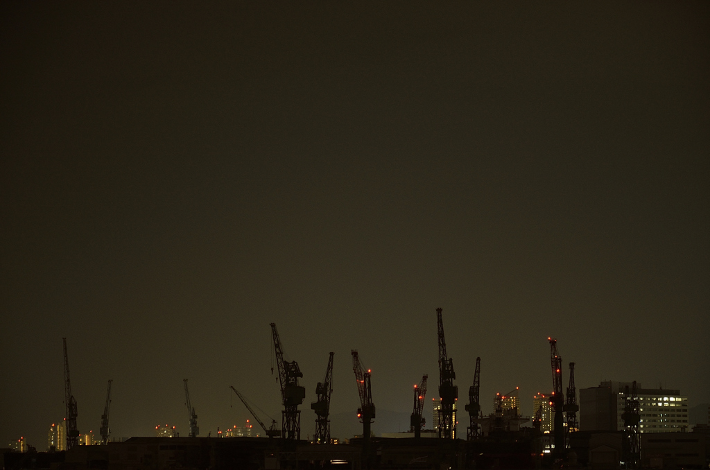 night fishing
