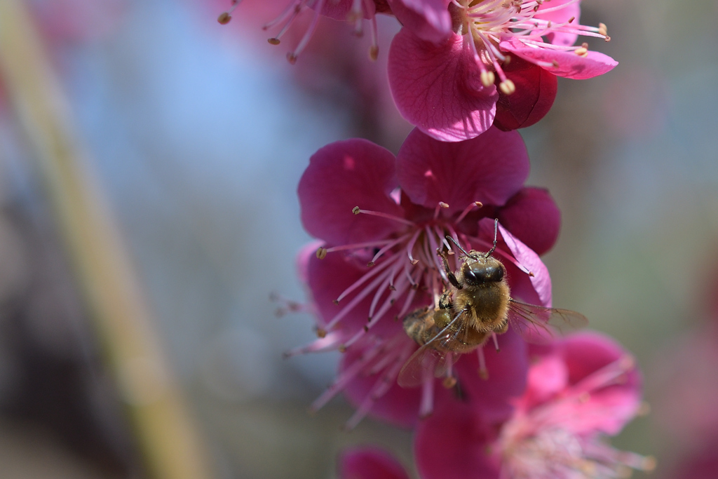 DSC_0001_00001