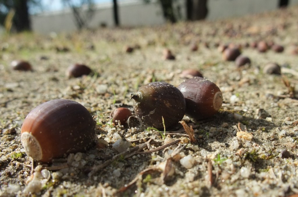 オワリ・ハジマリ