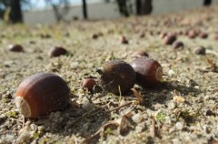 オワリ・ハジマリ