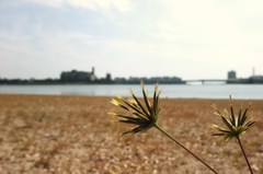 私を、何処かへ