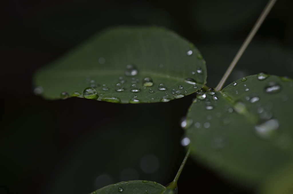 water's