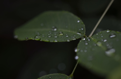 water's