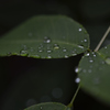 water's