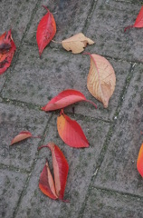 オータム・フロア