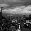 嵐の後