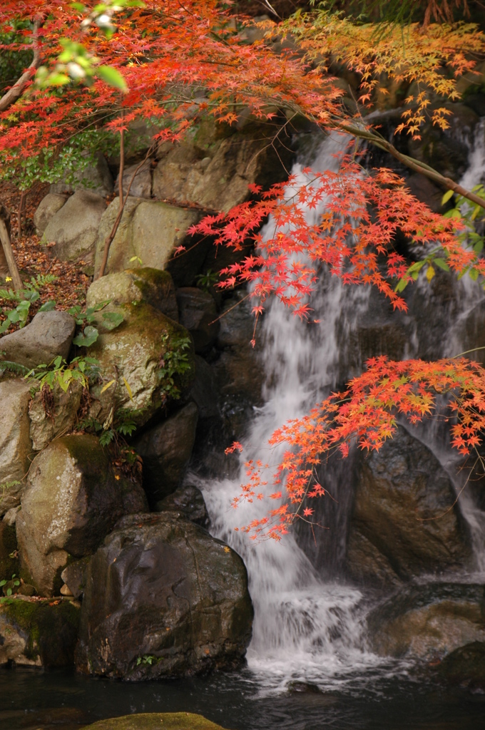 長府庭園