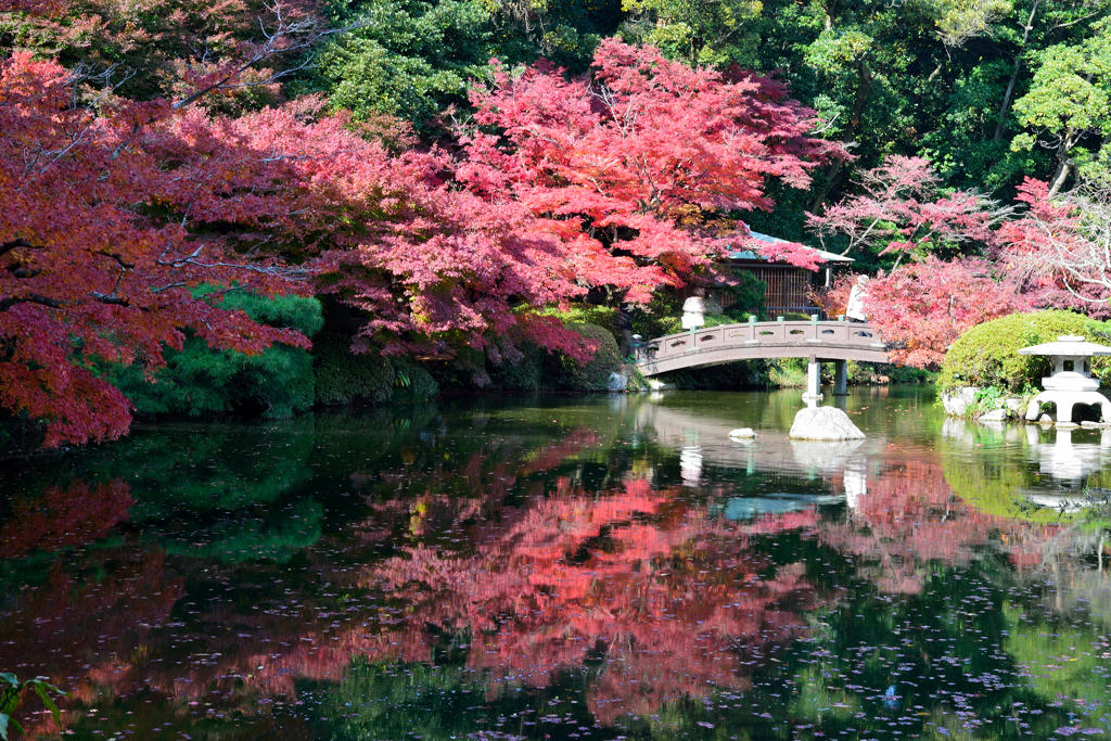 長府庭園