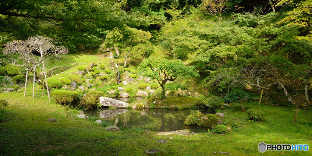 魚楽園