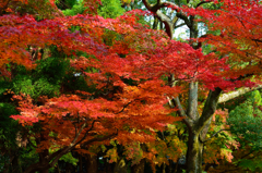 功山寺