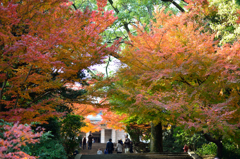 功山寺