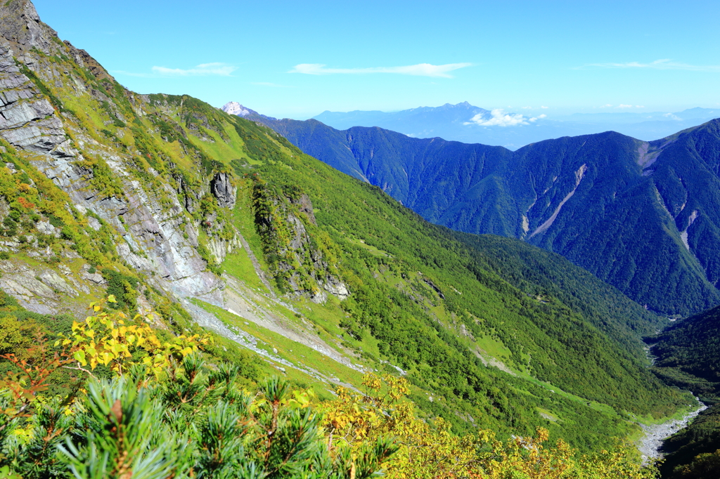 岳