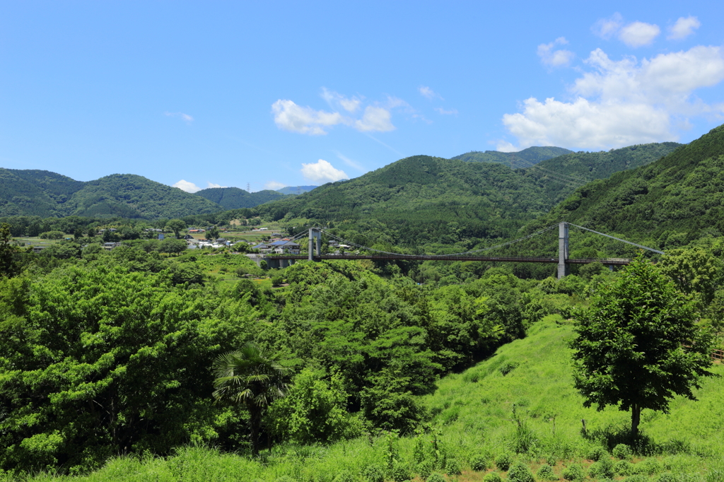 田舎の緑