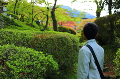 箱根の森