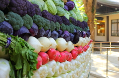 野菜Wall
