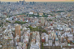 東京雑景