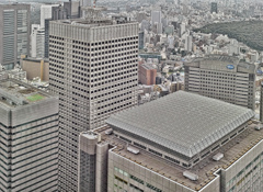 東京雑景
