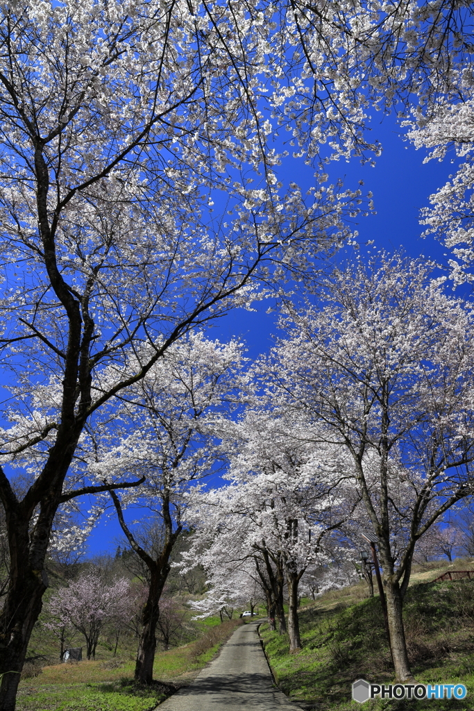 浦川原ふるさと公園