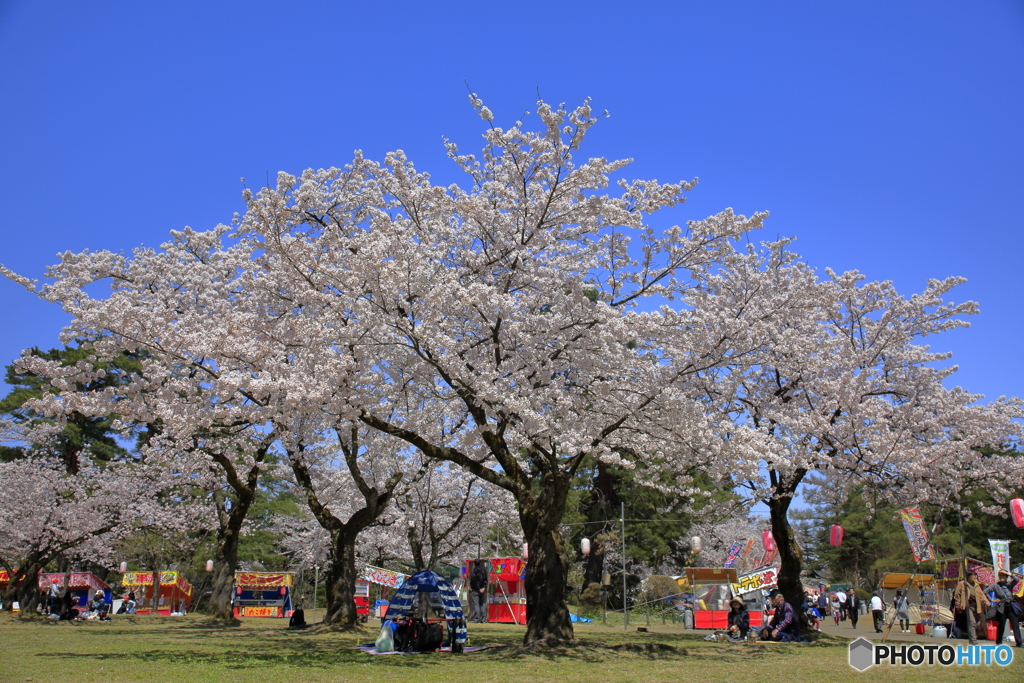 悠久山公園-FD
