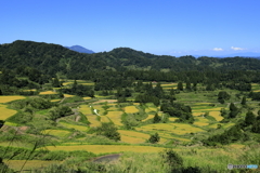 久しぶりに星峠へ